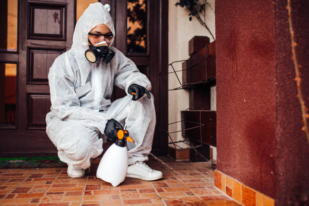 Attic and Crawl Space Rodent Treatment in Regency at Monroe