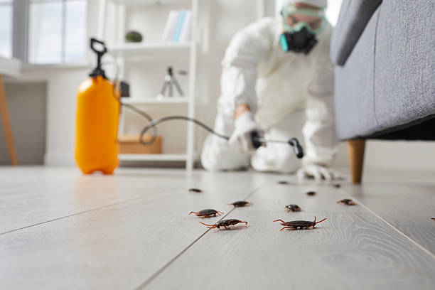 Commercial Rodent Management in Regency at Monroe
